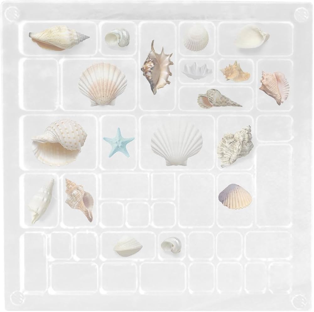 Amazon.co.jp: アクリル貝殻ディスプレイボックス、貝殻収納ボックス